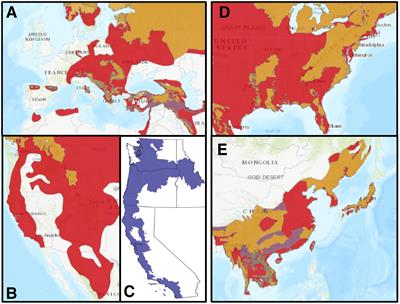 Community Ecology and Conservation of Bear-Salmon Ecosystems